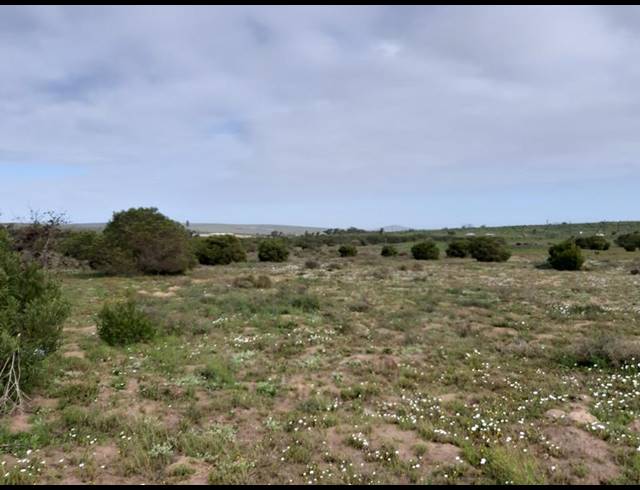 LAND FOR SALE IN LONG ACRES
